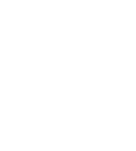 Palm パーム